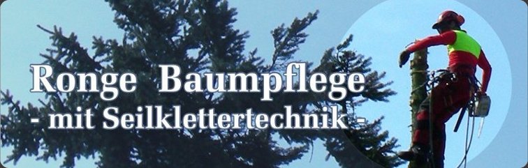 Baumpflege - Hubert Ronge